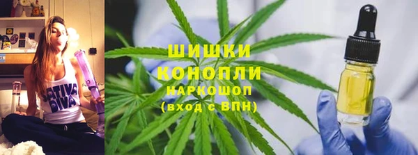 стаф Коряжма