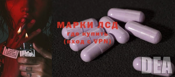 стаф Коряжма