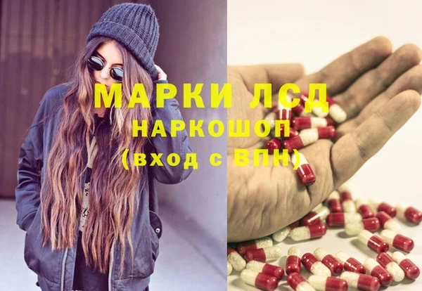 стаф Коряжма
