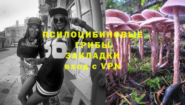 стаф Коряжма
