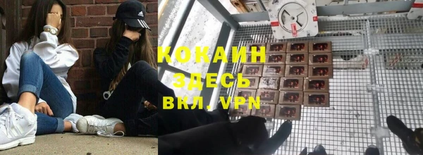 стаф Коряжма