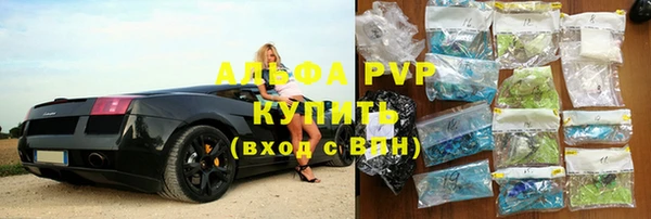 стаф Коряжма