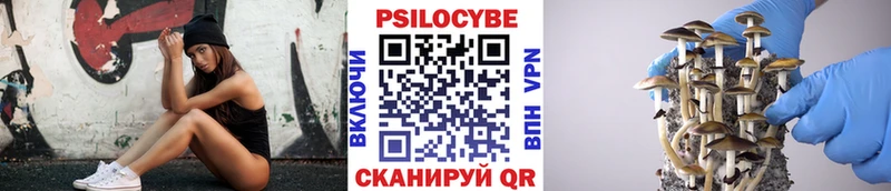 hydra как войти  Михайловка  Галлюциногенные грибы прущие грибы 