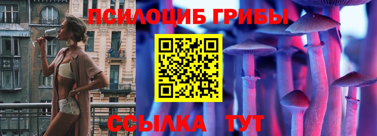 Михайловка  Галлюциногенные грибы GOLDEN TEACHER  Вход с VPN 