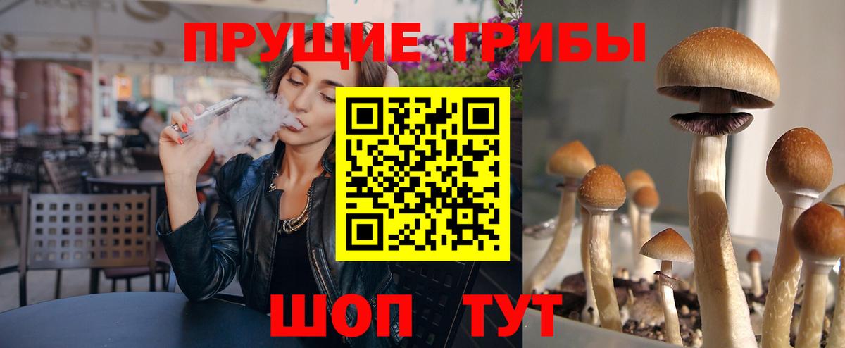 Псилоцибиновые грибы Cubensis Михайловка